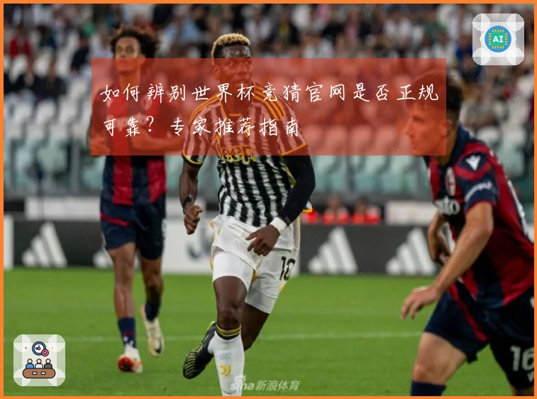 如何辨别世界杯竞猜官网是否正规可靠？专家推荐指南
