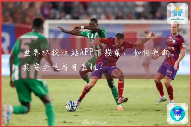世界杯投注站APP下载前，如何判断其安全性与可靠性？