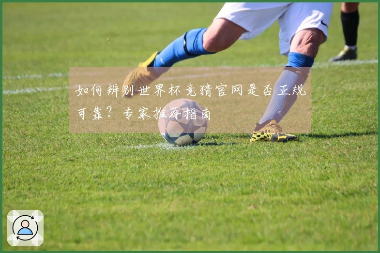 如何辨别世界杯竞猜官网是否正规可靠？专家推荐指南