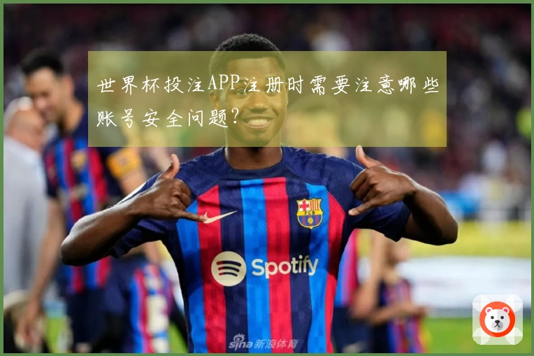 世界杯投注APP注册时需要注意哪些账号安全问题？