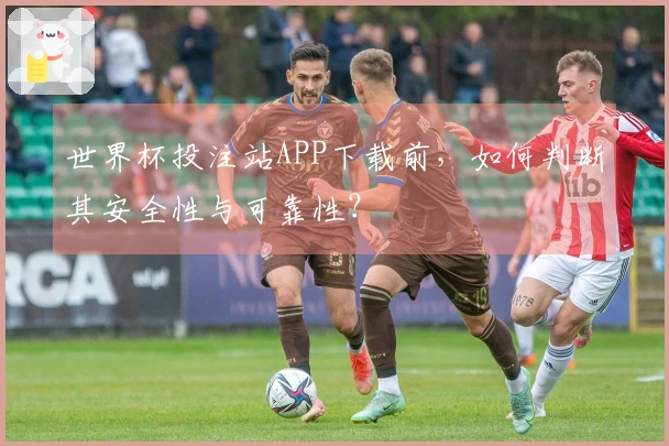 世界杯投注站APP下载前，如何判断其安全性与可靠性？